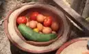 Solutions créatives pour un frigo sans électricité