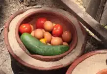 Solutions créatives pour un frigo sans électricité