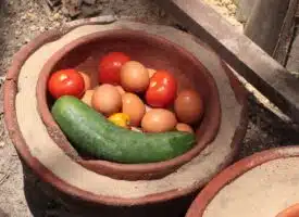 Solutions créatives pour un frigo sans électricité