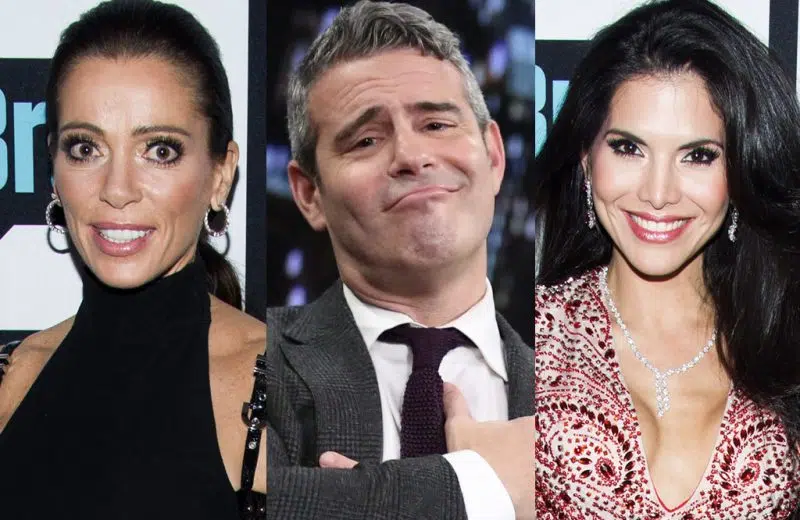 « RHOBH » : Andy Cohen explique enfin pourquoi Carlton Gebbia et Joyce Giraud n’ont pas réussi à être « ménagères »