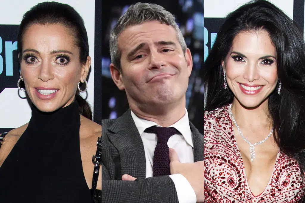 « RHOBH » : Andy Cohen explique enfin pourquoi Carlton Gebbia et Joyce Giraud n’ont pas réussi à être « ménagères »