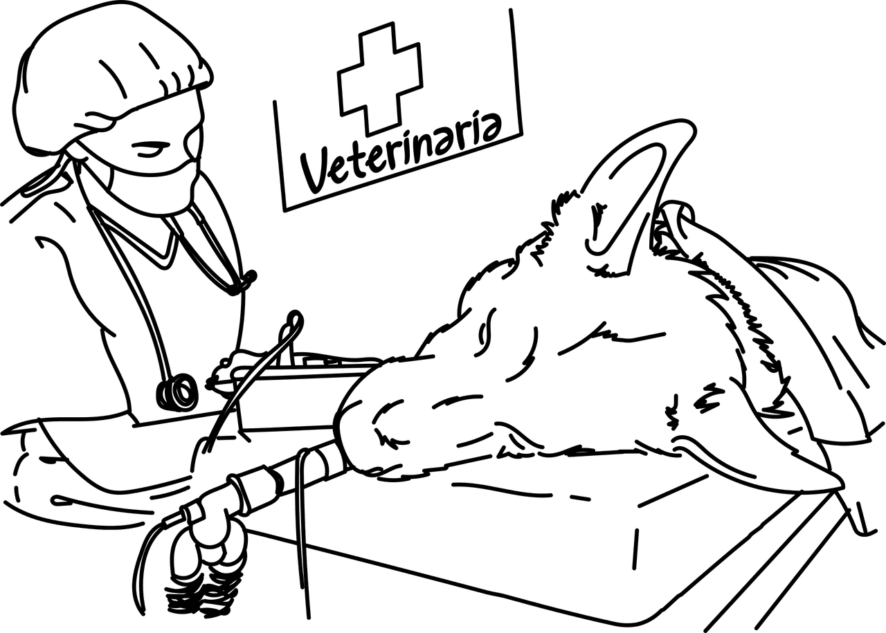 clinique vétérinaire