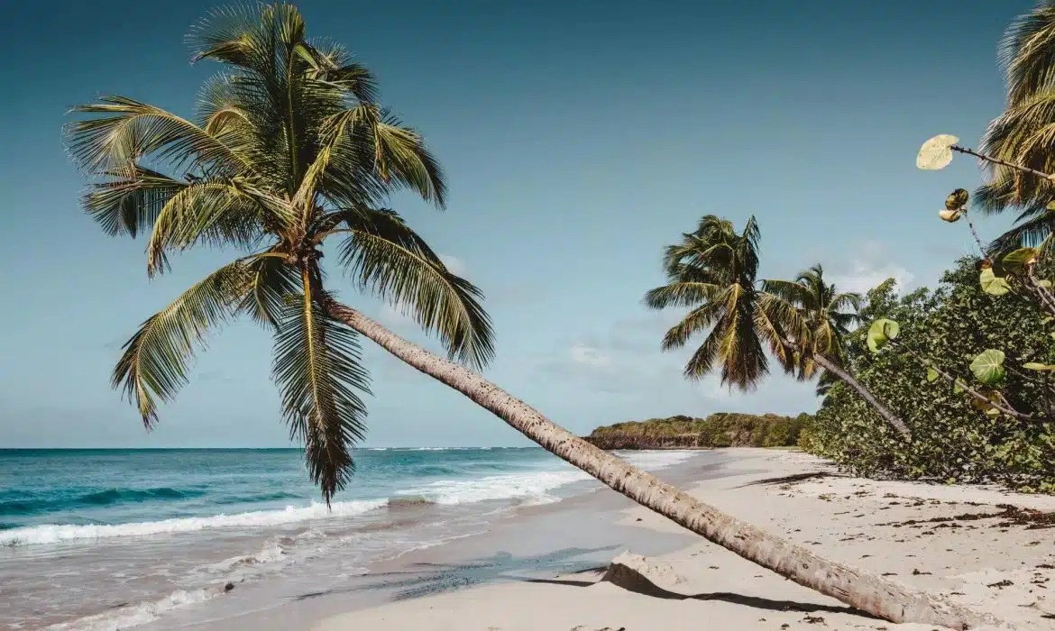 Quelle est la période la moins chère pour aller en Martinique ?