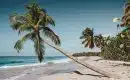 Quelle est la période la moins chère pour aller en Martinique ?
