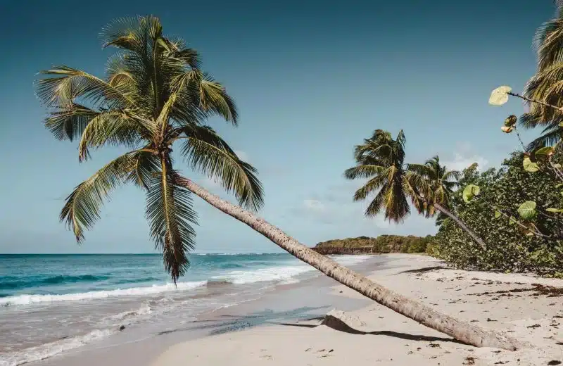 Quelle est la période la moins chère pour aller en Martinique ?